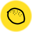Ripe DAO Governance Token