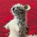 Roo the Kangaroo Live Price, Chart and Marketcap