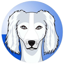 SALUKI