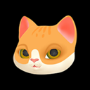 Schrodinger (MEOW) Live Price, Chart and Marketcap