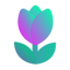 Tulip Protocol