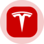 Tesla (Ondo Tokenized Stock)