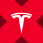 Tesla xStock