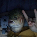The Big Trout (BIGTROUT) Live Price, Chart and Marketcap