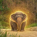 The Chubby Elephant (ชั้ง) Live Price, Chart and Marketcap