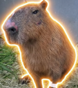 The survivor (CAPYBARA) Live Price, Chart and Marketcap