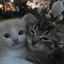 Together