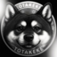 Buy Totakeke
