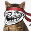 Troll Kitty