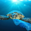 Unbagging The Ocean