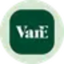 VanEck CLO ETF (Ondo Tokenized Stock)