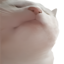 Vibe Cat