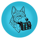 Wallitelli (WALLI) Live Price, Chart and Marketcap