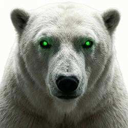 White Polar Bear (ICEBEAR) Live Price, Chart and Marketcap