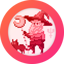 WIZARD Vault (NFTX)