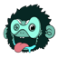 YEETI 液体