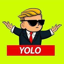 Buy YOLO