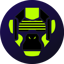 Buy zkApes Token