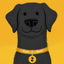 Zooko's Dog